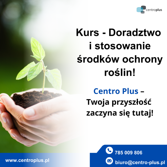 rośliny