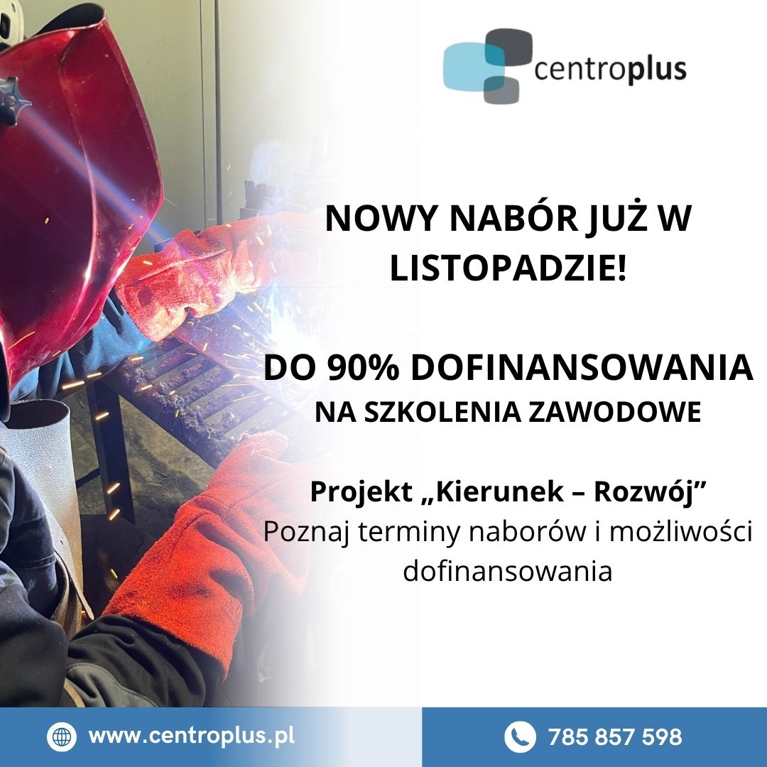 Wózki widłowe (2)